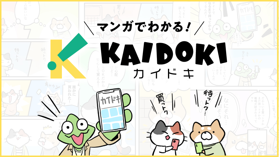 マンガでわかるKAIDOKI画像